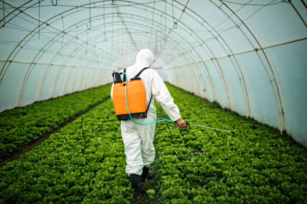 Best Best Pest Control Companies  in Orange, OH