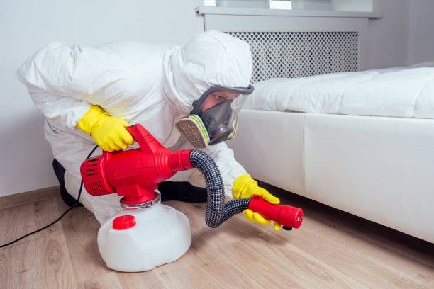 Best Affordable Pest Control Services  in Orange, OH