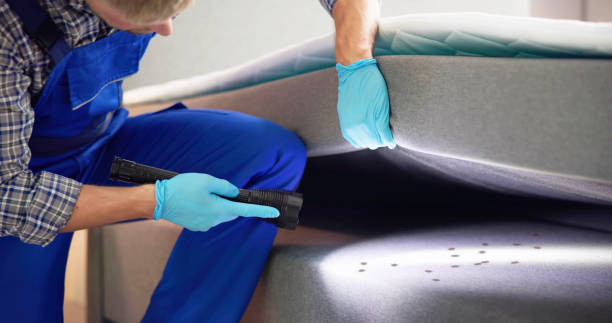 Best Ant Control Services  in Orange, OH