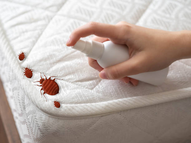 Best Emergency Pest Control  in Orange, OH