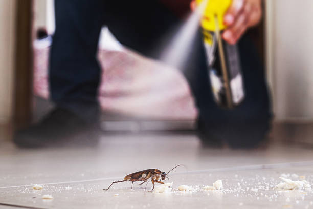 Best Termite Control Services  in Orange, OH